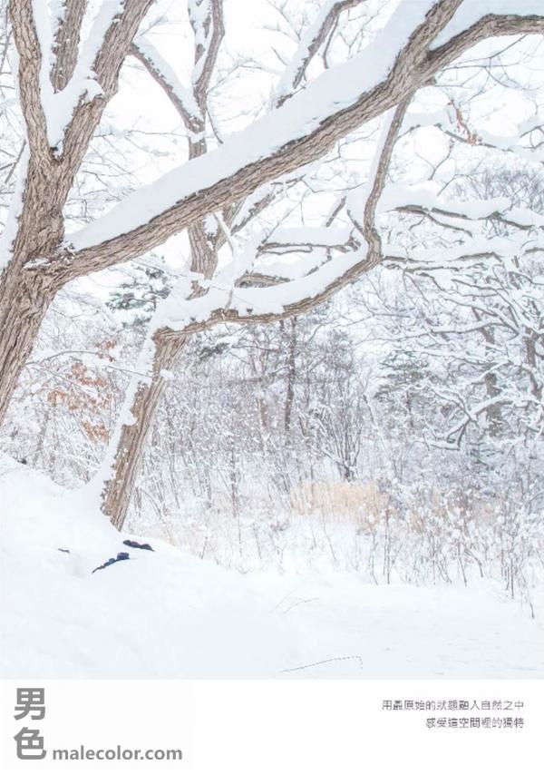 Whoseman-11-國民男友-阿部